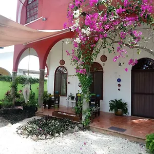 Casita Rustica En La Selva Cancún